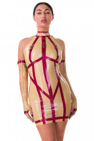 Euphoria Mini Latex Dress